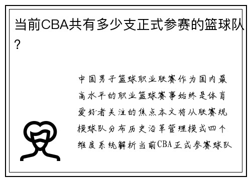 当前CBA共有多少支正式参赛的篮球队？