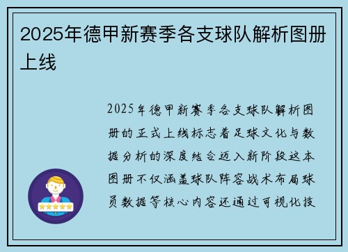 2025年德甲新赛季各支球队解析图册上线